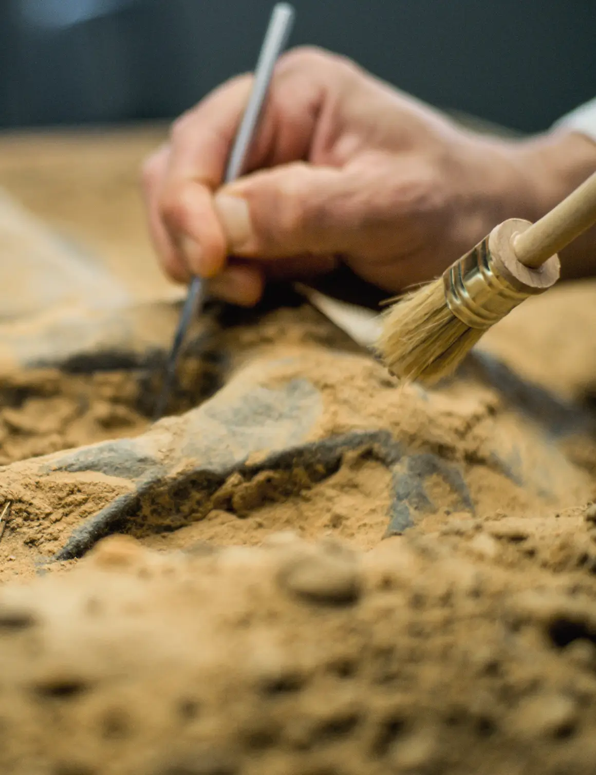 Archaeologist carefully brushing a fossil discovery.